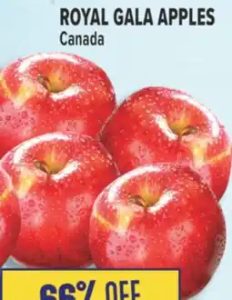 Marché Adonis ROYAL GALA APPLES offer
