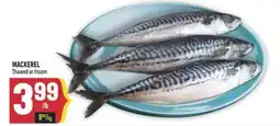 Marché Adonis MACKEREL offer