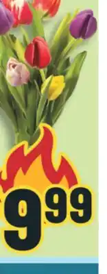 Marché Adonis TULIP BOUQUET offer