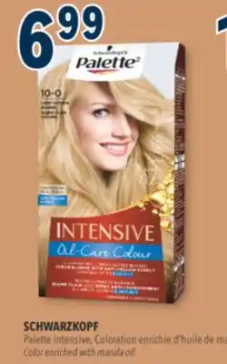 Familiprix Schwarzkopf Palette Intensive Oil-Care Colour permanent hair dye #10-0 Light Natural Blonde offer