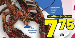 Metro HOMARD VIVANT | LIVE LOBSTER offer