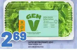 Metro LAITUE BOSTON VIVANTE GEN V | GEN V LIVING BUTTER LETTUCE offer