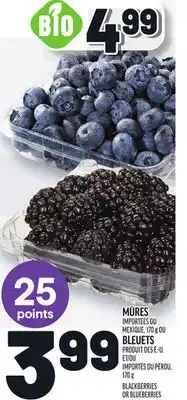Metro MÛRES | BLACKBERRIES offer