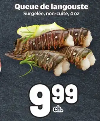 Metro QUEUE DE LANGOUSTE offer