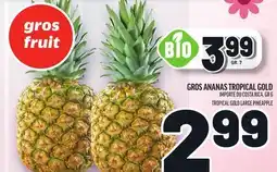 Metro GROS ANANAS TROPICAL GOLD | TROPICAL GOLD LARGE PINEAPPLE offer