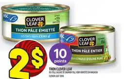 Metro THON CLOVER LEAF | CLOVER LEAF TUNA offer