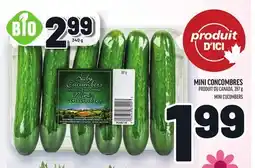 Metro MINI CONCOMBRES | MINI CUCUMBERS offer