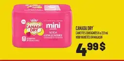 Metro CANADA DRY CANETTES X 222 ML offer