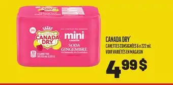 Metro CANADA DRY CANETTES X 222 ML offer