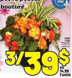 Metro PANIER FLEURI | BLOOMING BASKET offer