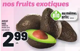 Metro AVOCAT HASS | HASS AVOCADO offer