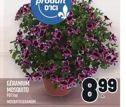 Metro GÉRANIUM MOSQUITO | MOSQUITO GERANIUM offer