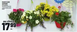 Metro PANIER FLEURI SUSPENDU | COLORED HANGING FLOWER BASKET offer