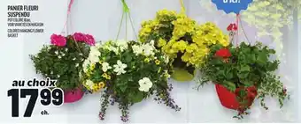 Metro PANIER FLEURI SUSPENDU | COLORED HANGING FLOWER BASKET offer