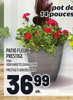 Metro PATIO FLEURI PRESTIGE | PRESTIGE FLOWERED PATIO offer