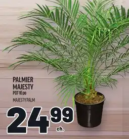 Metro PALMIER MAJESTY | MAJESTY PALM offer
