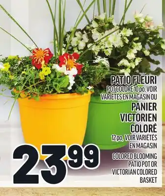 Metro PATIO FLEURI | COLORED BLOOMING PATIO POT offer