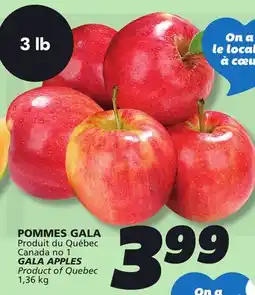 IGA GALA APPLES offer
