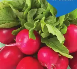 IGA RED OR MULTICOLOURED LEAF RADISHES offer