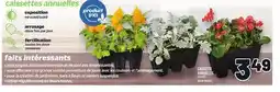 Metro CAISSETTE ANNUELLES 6 PLANTS FAITS INTÉRESSANTS offer