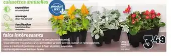 Metro CAISSETTE ANNUELLES 6 PLANTS FAITS INTÉRESSANTS offer