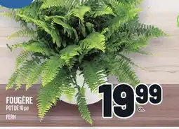 Metro FOUGÈRE | FERN offer