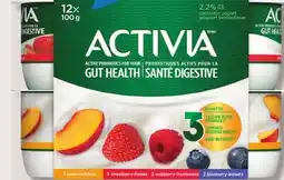 IGA ACTIVIA GREEK OR PROBIOTIC YOGURT offer