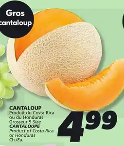 IGA CANTALOUPE offer