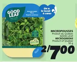 IGA GOOD LEAF MICROGREENS offer
