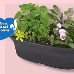 IGA LES INDISPENSABLES FRESH HERB COMBO offer