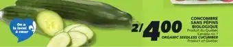 IGA ORGANIC SEEDLESS CUCUMBER offer