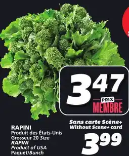 IGA RAPINI offer