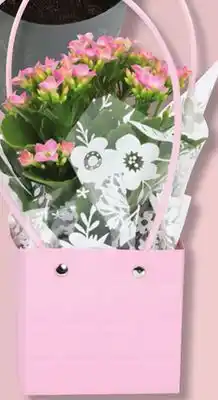 IGA BLOOMING FLOWER TUFTED PURSE offer