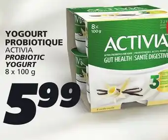 IGA ACTIVIA PROBIOTIC YOGURT offer