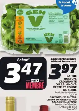 IGA GEN V GREENHOUSE BUTTER, CRISPY OR GREEN & RED SALANOVA LETTUCE offer