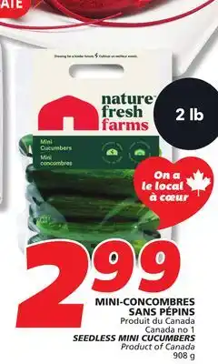 IGA SEEDLESS MINI CUCUMBERS offer