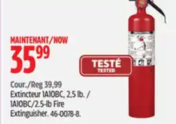Canadian Tire Garrison 2.5-lb Fire Extinguisher offer