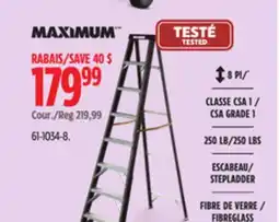 Canadian Tire Maximum 250 lb Step Ladder offer