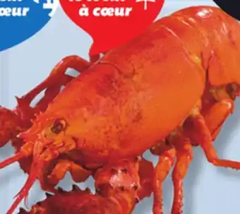 IGA COOKED FRESH LOBSTER offer