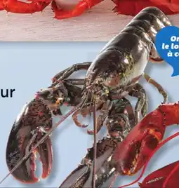 IGA LIVE LOBSTER offer