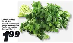 IGA FRESH CORIANDER offer