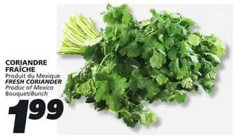 IGA FRESH CORIANDER offer