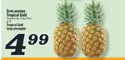 Marché Richelieu GROS ANANAS TROPICAL GOLD | TROPICAL GOLD LARGE PINEAPPLE offer