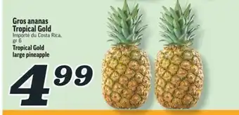 Marché Richelieu GROS ANANAS TROPICAL GOLD | TROPICAL GOLD LARGE PINEAPPLE offer