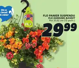 IGA FLO HANGING BASKET offer