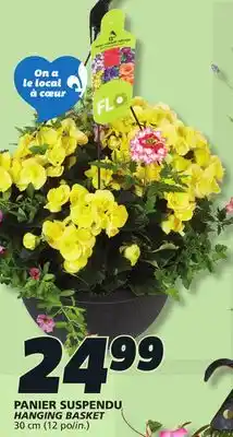 IGA HANGING BASKET offer