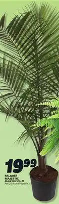 IGA MAJESTIC PALM offer
