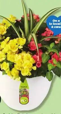 IGA PATIO FLOWER ARRANGEMENT offer