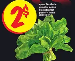 Maxi ÉPINARDS EN BOTTE | BUNCHED SPINACH offer
