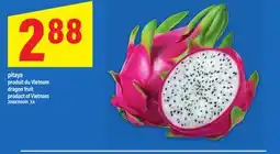 Maxi PITAYA | DRAGON FRUIT offer